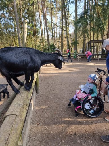 Besuch im Tierpark